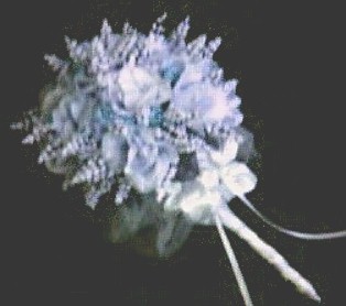 jpgreatbluebouquet.JPG (19704 bytes)